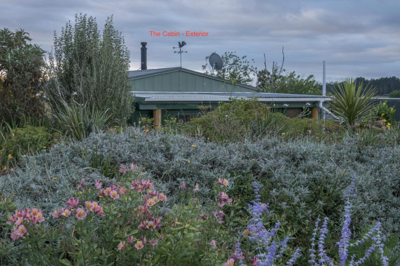 Tracy'S Boutique B&B Farmstay Wellsford Exterior photo